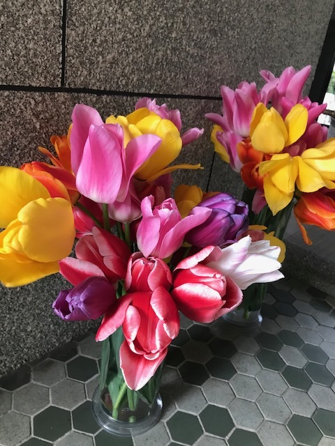 畑の花_f0204295_16215709.jpg