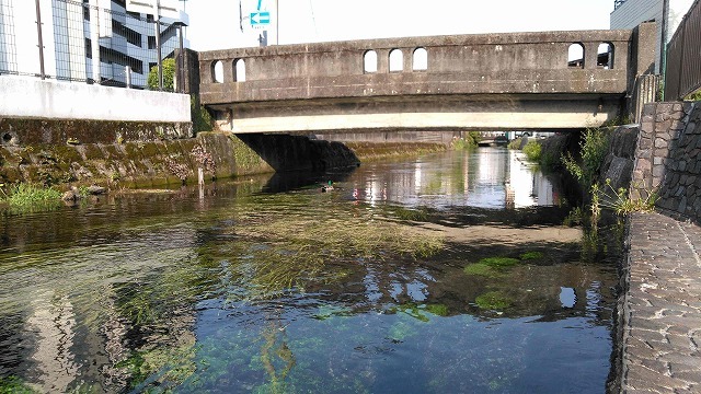 朝の散歩 東泉院、せぎわく、田宿川、善得寺等を回る今泉の歴史コース_f0141310_07510479.jpg