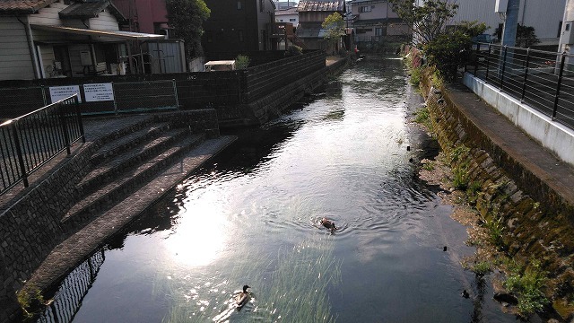 朝の散歩 東泉院、せぎわく、田宿川、善得寺等を回る今泉の歴史コース_f0141310_07511146.jpg