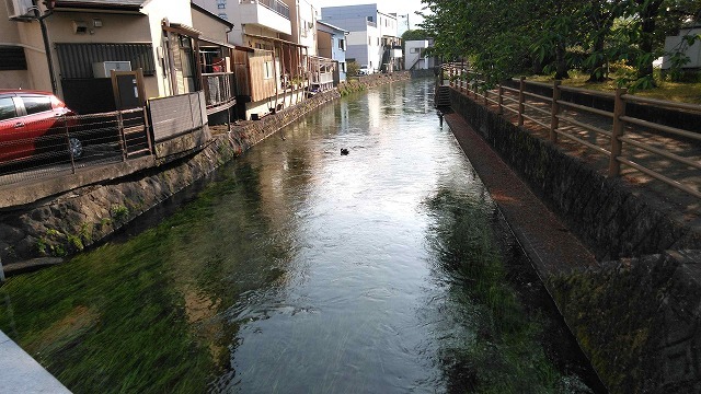 朝の散歩 東泉院、せぎわく、田宿川、善得寺等を回る今泉の歴史コース_f0141310_07521019.jpg