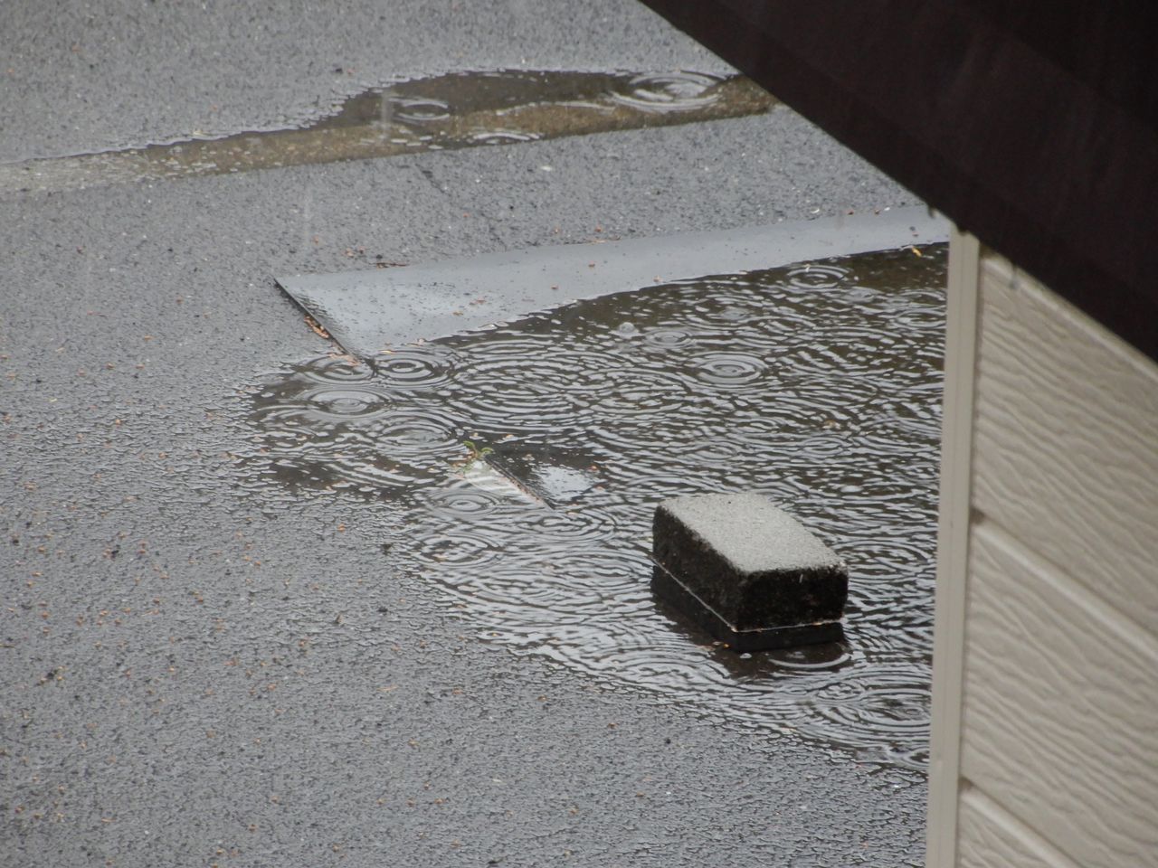 午前中は晴れ、午後は雷雨_c0025115_22081773.jpg