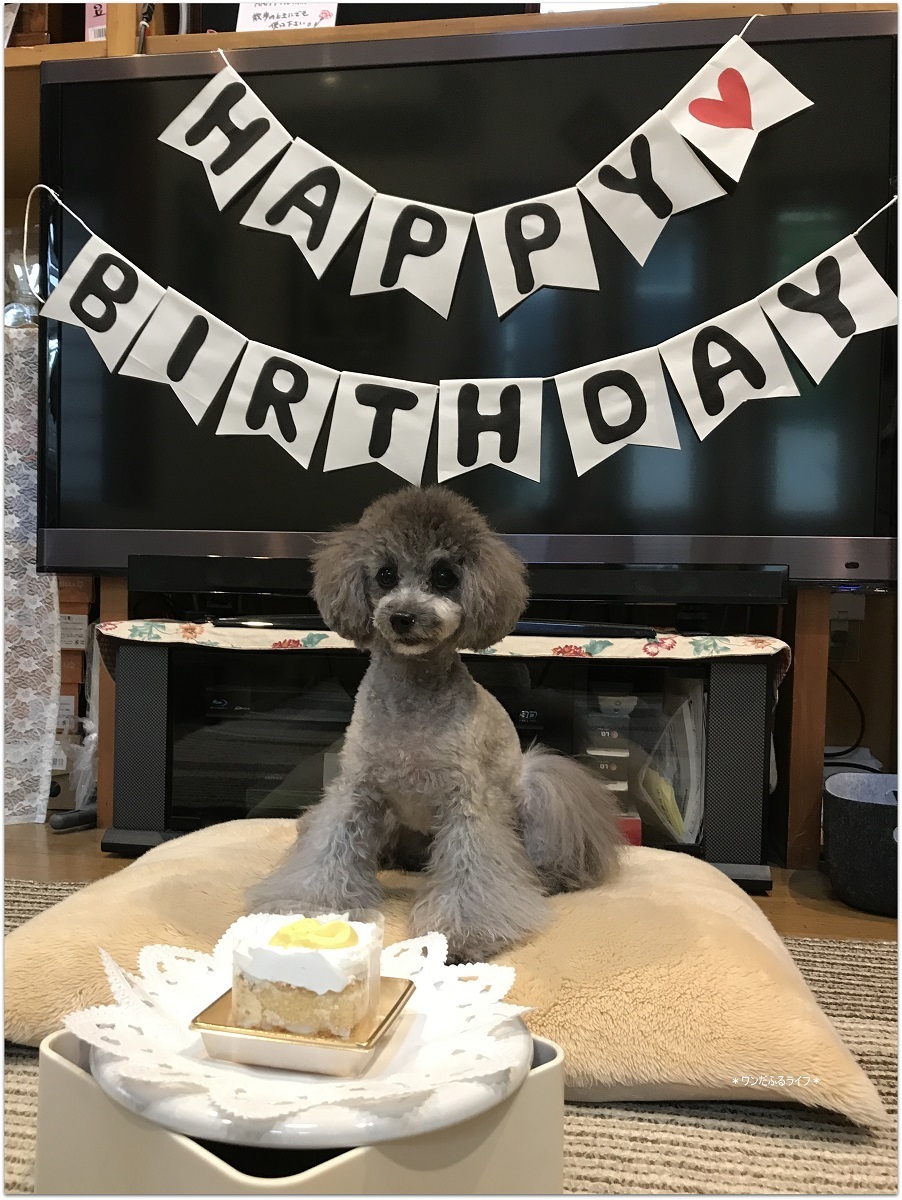 * HAPPY BIRTHDAY *_d0317115_21214341.jpg