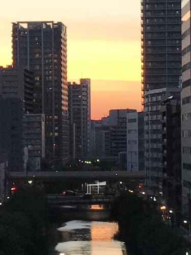 休業日ブログ・その33_e0195325_18544919.jpeg