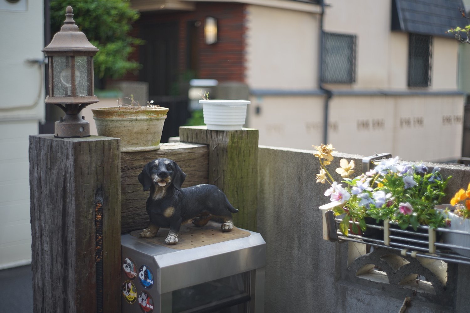 Auto Yashinon-DS 50mm F1.9 の 写り_b0069128_09033297.jpg