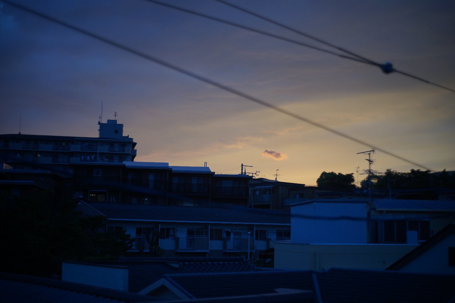 Auto Yashinon-DS 50mm F1.9 の 写り_b0069128_09033895.jpg