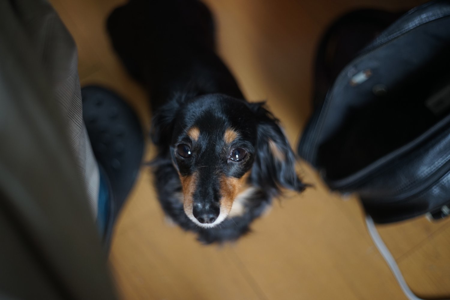 Auto Yashinon-DS 50mm F1.9 の 写り_b0069128_09035178.jpg