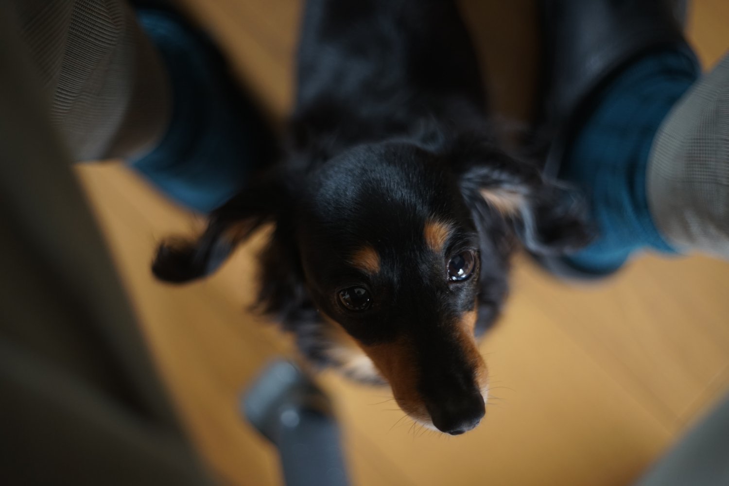 Auto Yashinon-DS 50mm F1.9 の 写り_b0069128_09040149.jpg