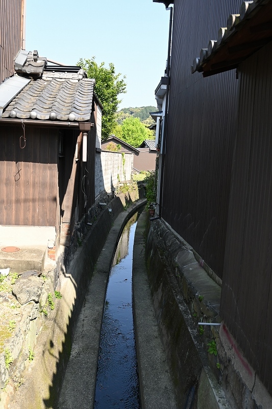 影_e0374932_06045392.jpg