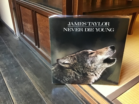 NEVER DIE YOUNG / JAMES TAYLOR_e0230141_21140642.jpeg