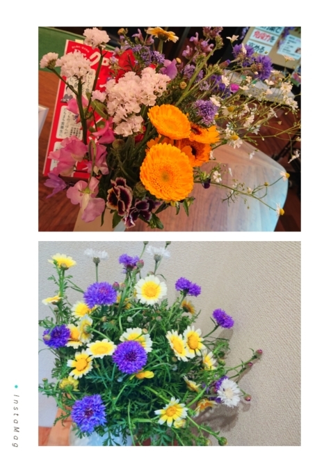 癒やし_b0328361_22350494.jpg