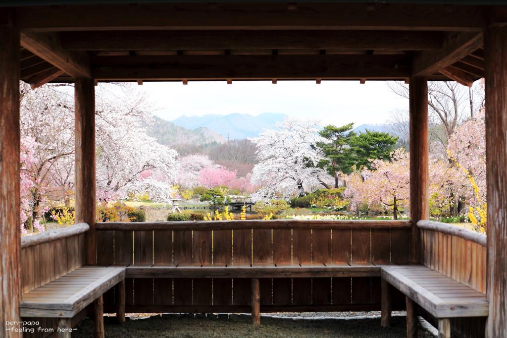 この春、空席だった指定席_c0356480_21050826.jpg