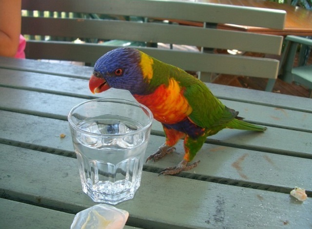 オープンカフェ_f0346196_20350301.jpg