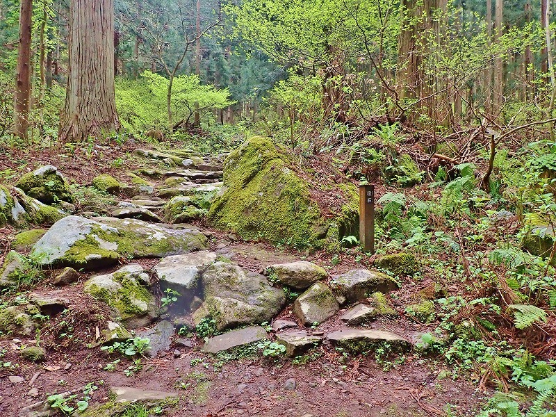 連休の最後は飯山市の「小菅神社」を訪ねました_c0336902_19592551.jpg