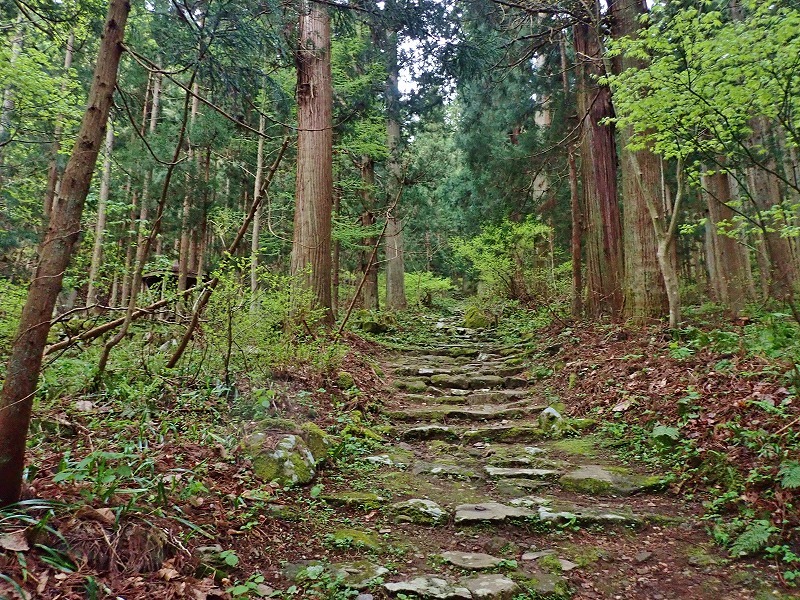 連休の最後は飯山市の「小菅神社」を訪ねました_c0336902_19592948.jpg