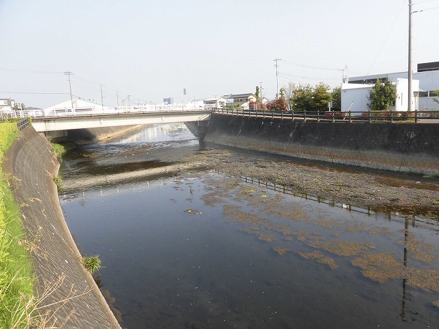 旧国1の津田橋架け替え工事が進む小潤井川 津田・荒田島を行く朝の散歩_f0141310_08231731.jpg
