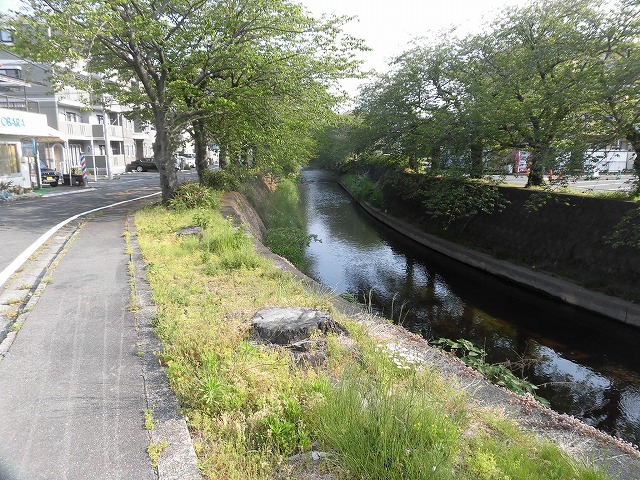 旧国1の津田橋架け替え工事が進む小潤井川 津田・荒田島を行く朝の散歩_f0141310_08233034.jpg