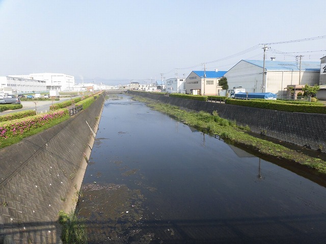旧国1の津田橋架け替え工事が進む小潤井川 津田・荒田島を行く朝の散歩_f0141310_08240128.jpg