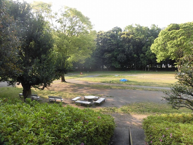 旧国1の津田橋架け替え工事が進む小潤井川 津田・荒田島を行く朝の散歩_f0141310_08241830.jpg