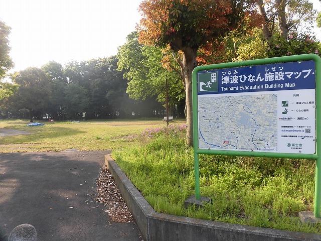 旧国1の津田橋架け替え工事が進む小潤井川 津田・荒田島を行く朝の散歩_f0141310_08242685.jpg