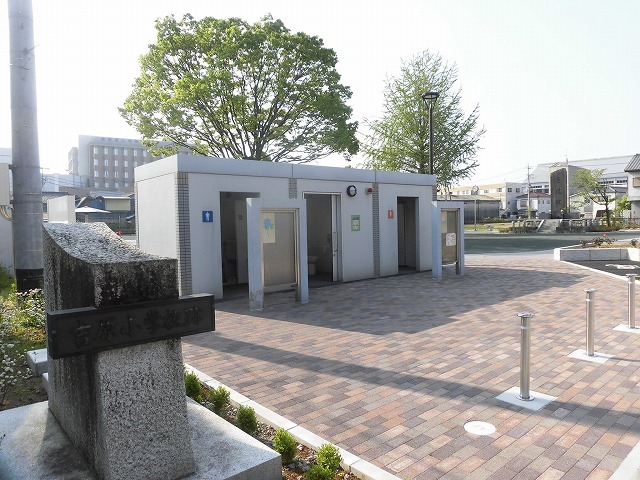 旧国1の津田橋架け替え工事が進む小潤井川 津田・荒田島を行く朝の散歩_f0141310_08243462.jpg