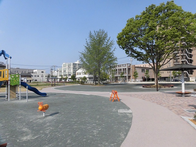 旧国1の津田橋架け替え工事が進む小潤井川 津田・荒田島を行く朝の散歩_f0141310_08244279.jpg