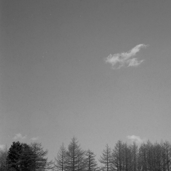 フィルムスキャナーが不調に〜その2_f0237711_16183977.jpg