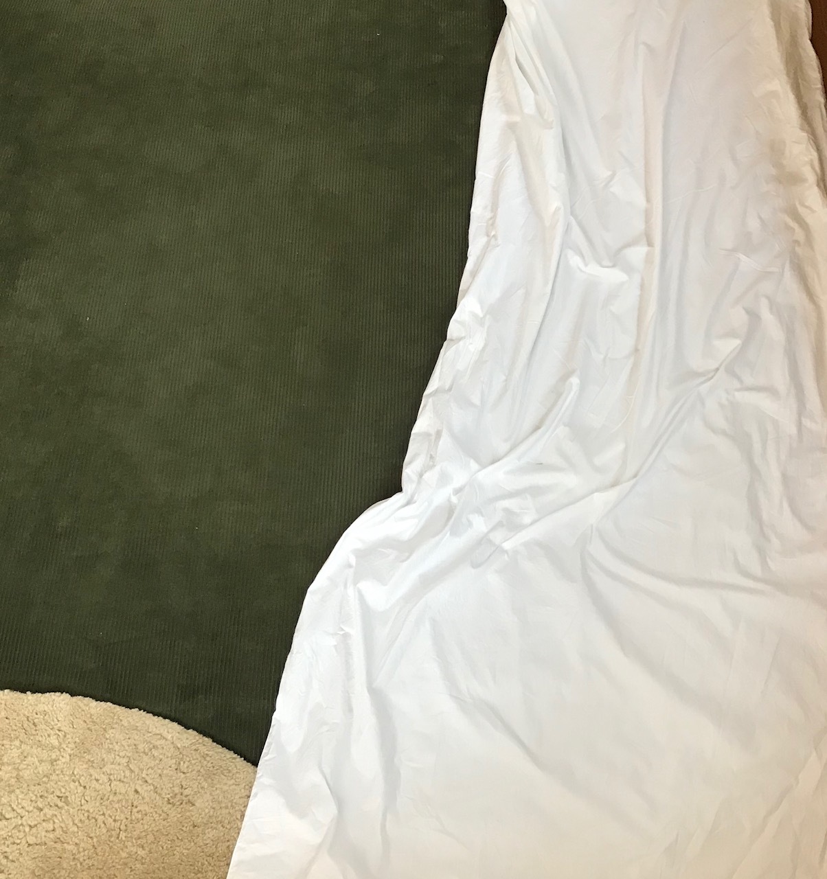 新ルート？_a0271932_13592328.jpeg