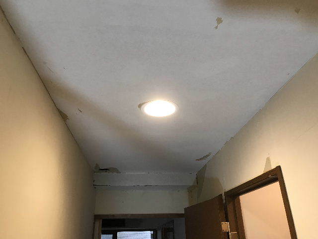 剥離終了・雷後の笑顔と山盛りの仕事_f0031037_19131203.jpg