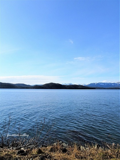 歌声_d0356844_02414435.jpg