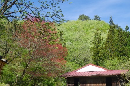山 ふくらむ。_f0114346_06251380.jpg