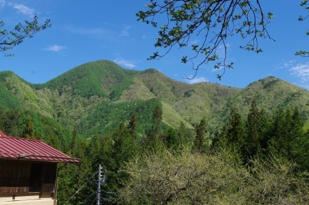山 ふくらむ。_f0114346_06261614.jpg