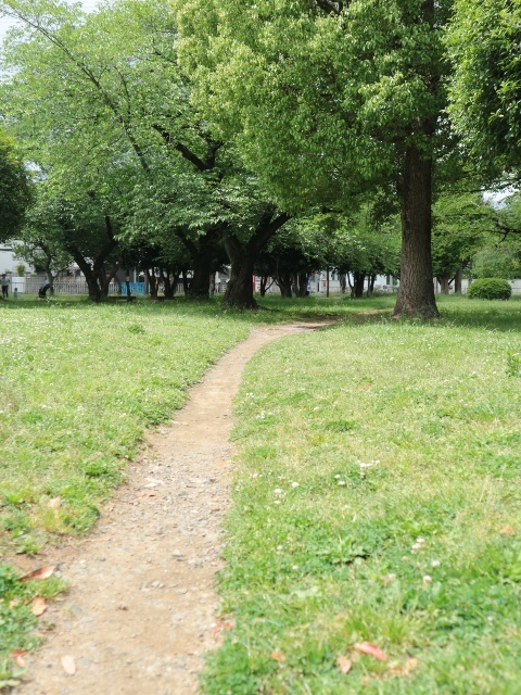 歩いて納得!極上のスニーカー_c0178453_07420387.jpg