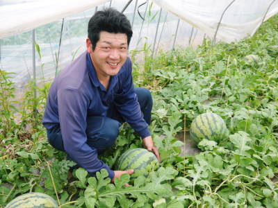 熊本産!大玉スイカ『祭りばやし777』大好評販売中!本日、令和4年の初出荷!朝採り、即日発送でお届け!_a0254656_17515232.jpg