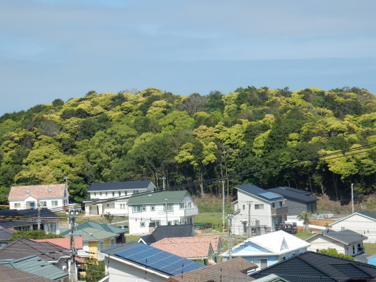 ’20,5,12(火)コロナだけどストレスフリーなのは何故かな?_f0060461_11131823.jpg