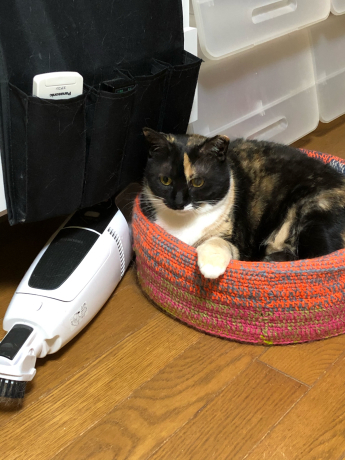 コロナのせい?_e0355177_21353289.jpg
