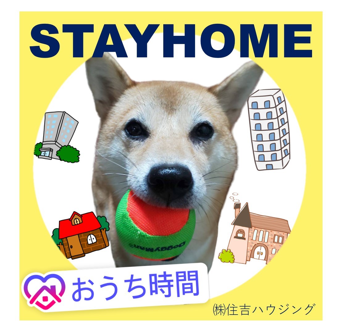 新型コロナウイルスと行政の救済・支援_c0149785_17100571.jpg