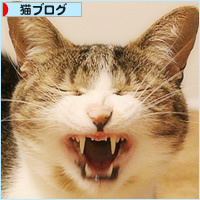 人間はどこにいけばいいんですか?_a0389088_03432762.jpg