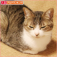 人間はどこにいけばいいんですか?_a0389088_03432788.jpg