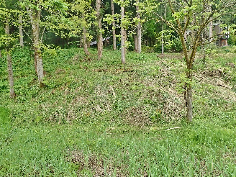 兼業農家は山へ柴刈りに行きました!_c0336902_20332343.jpg