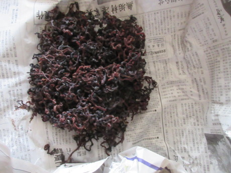 魚沼山菜・灰汁巻用意など_a0203003_15194687.jpg