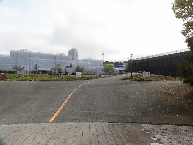 刈り取り間近の茶畑を行く こどもの日に歩いた朝の散歩「総合運動公園コース」_f0141310_07374378.jpg