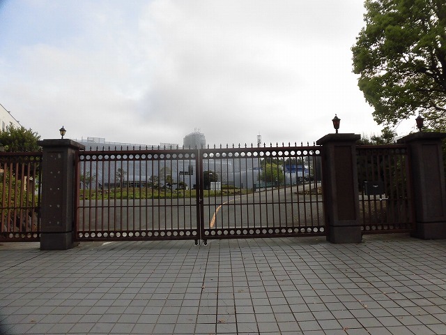 刈り取り間近の茶畑を行く こどもの日に歩いた朝の散歩「総合運動公園コース」_f0141310_07374940.jpg