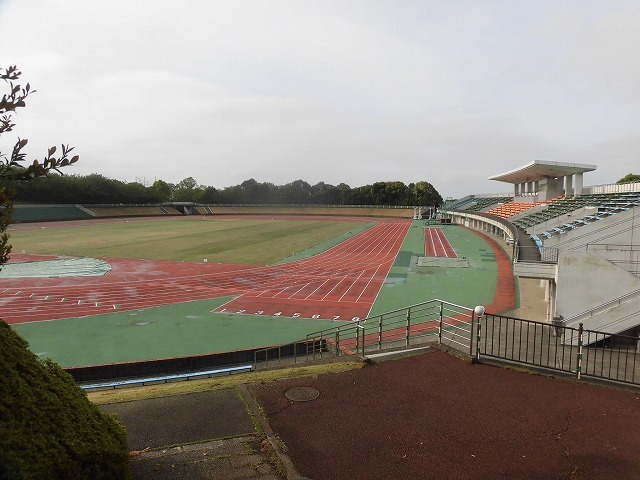刈り取り間近の茶畑を行く こどもの日に歩いた朝の散歩「総合運動公園コース」_f0141310_07390587.jpg