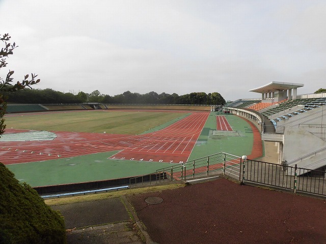 刈り取り間近の茶畑を行く　　こどもの日に歩いた朝の散歩「総合運動公園コース」_f0141310_07390587.jpg