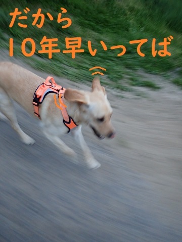 臨時休校も出口が見えてきました。_c0182012_08070892.jpg