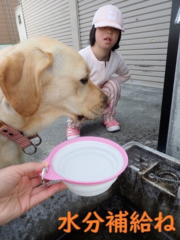 臨時休校も出口が見えてきました。_c0182012_08072138.jpg