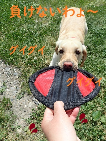 臨時休校も出口が見えてきました。_c0182012_08072583.jpg