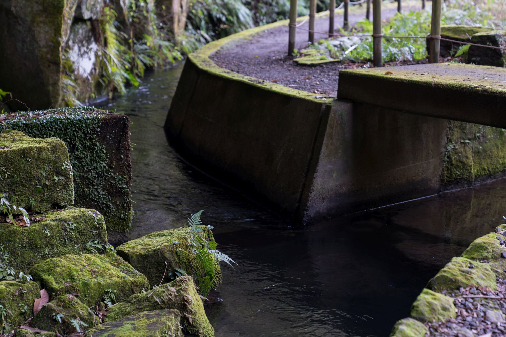 【世界遺産・史跡|関吉の疎水溝】 行き方、見学のしかた (鹿児島県)_b0212342_09351363.jpg