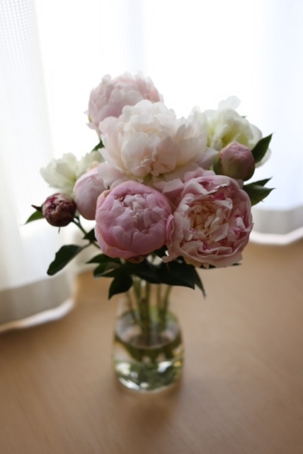 pinkの癒し_c0342646_09054589.jpeg