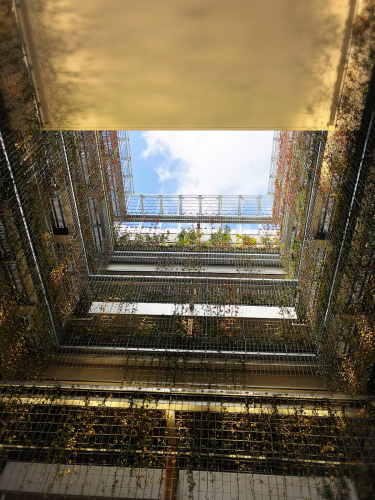 グッドネイチャーホテル_e0292546_10144776.jpg